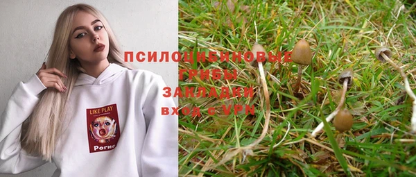 МДПВ Краснотурьинск