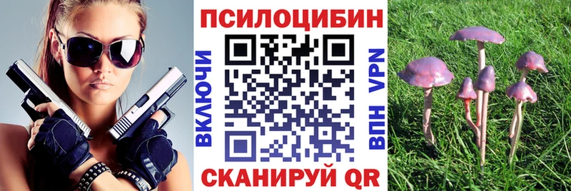 Псилоцибиновые грибы Magic Shrooms  Купить  Лабинск 